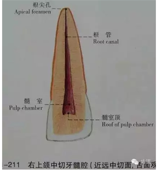 QQ圖片20150820144907.png QQ圖片20150820144907.png