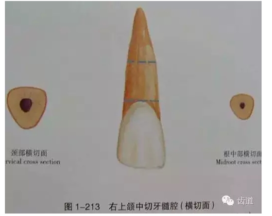 QQ圖片20150820144931.png QQ圖片20150820144931.png