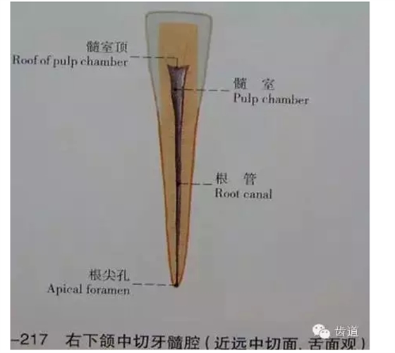 QQ圖片20150820144942.png QQ圖片20150820144942.png