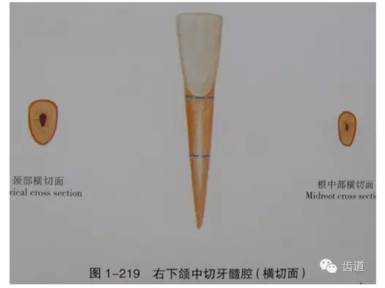 QQ圖片20150820145007.png QQ圖片20150820145007.png