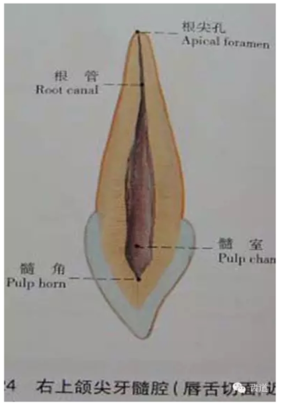 QQ圖片20150820145426.png QQ圖片20150820145426.png