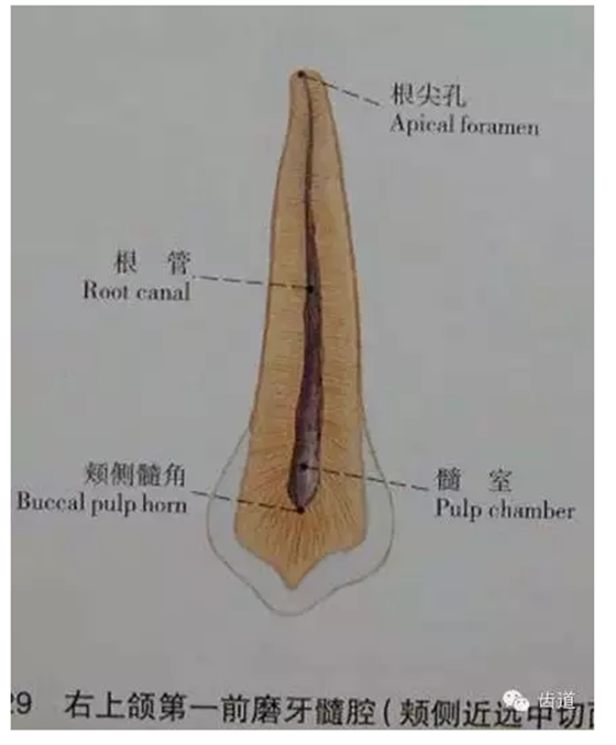 QQ圖片20150820145437.png QQ圖片20150820145437.png