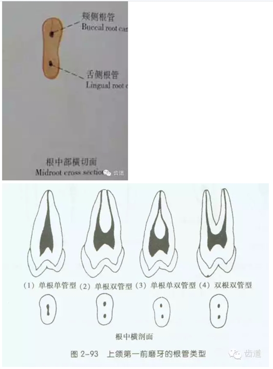 QQ圖片20150820145450.png QQ圖片20150820145450.png