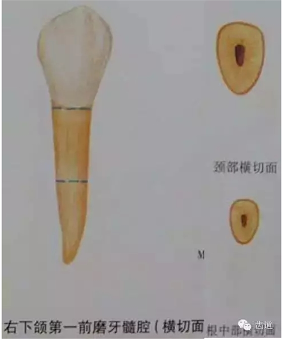 QQ圖片20150820145529.png QQ圖片20150820145529.png