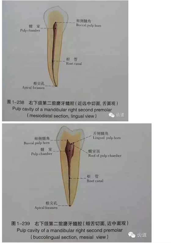 QQ圖片20150820145541.png QQ圖片20150820145541.png