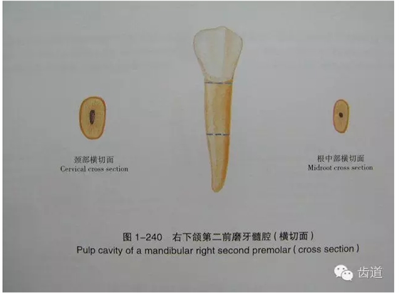 QQ圖片20150820145554.png QQ圖片20150820145554.png