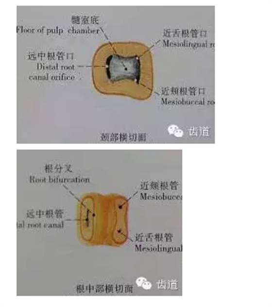 QQ圖片20150820145914.png QQ圖片20150820145914.png