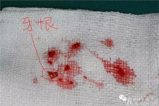 102.webp.jpg 102.webp.jpg