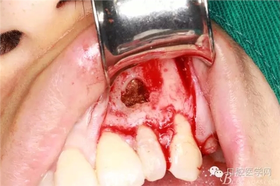 103.webp.jpg 103.webp.jpg