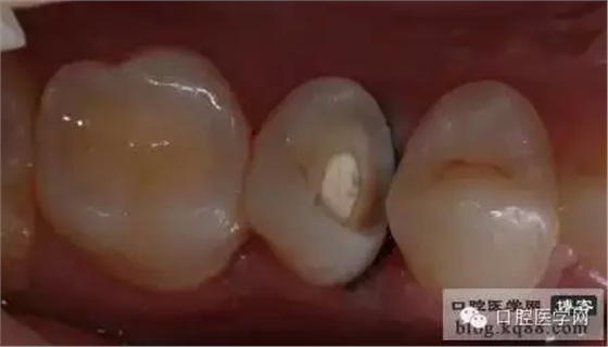 201.webp.jpg 201.webp.jpg