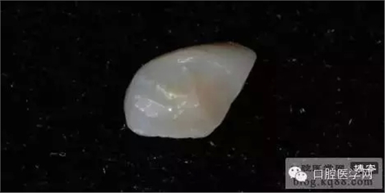 204.webp.jpg 204.webp.jpg