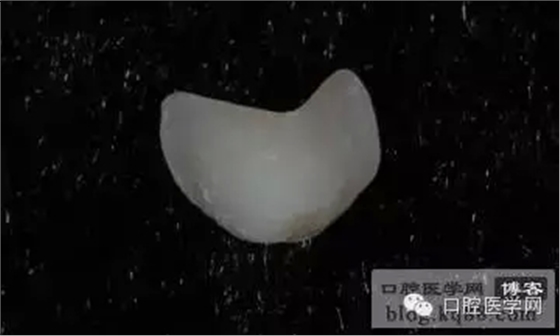 205.webp.jpg 205.webp.jpg