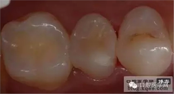 206.webp.jpg 206.webp.jpg