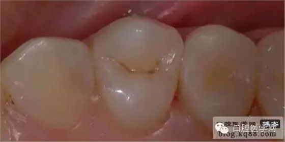 208.webp.jpg 208.webp.jpg