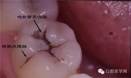 57.webp.jpg 57.webp.jpg