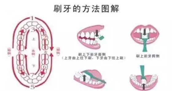 58.webp.jpg 58.webp.jpg