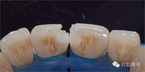 8.webp.jpg 8.webp.jpg