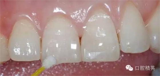 19.webp.jpg 19.webp.jpg