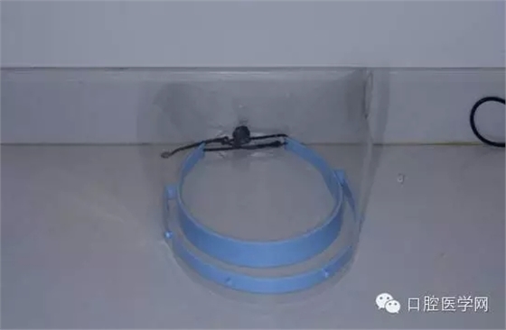 34.webp.jpg 34.webp.jpg