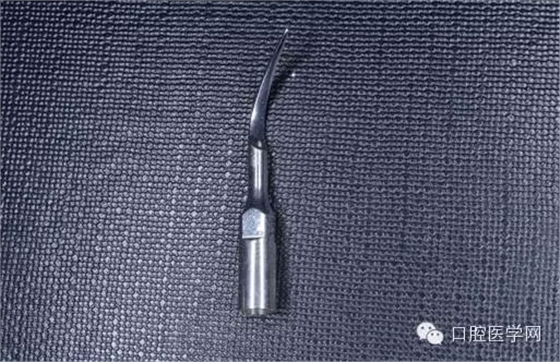 36.webp.jpg 36.webp.jpg