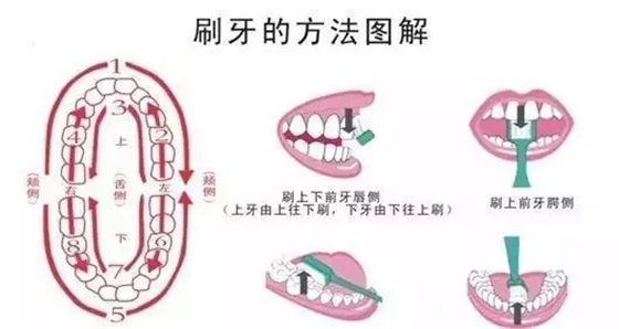 41.webp.jpg 41.webp.jpg