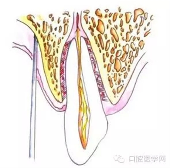 6.webp.jpg 6.webp.jpg