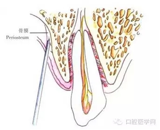 +.webp.jpg +.webp.jpg