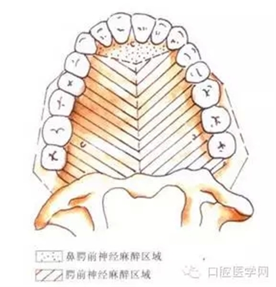 10.webp.jpg 10.webp.jpg