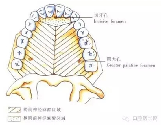 19.webp.jpg 19.webp.jpg