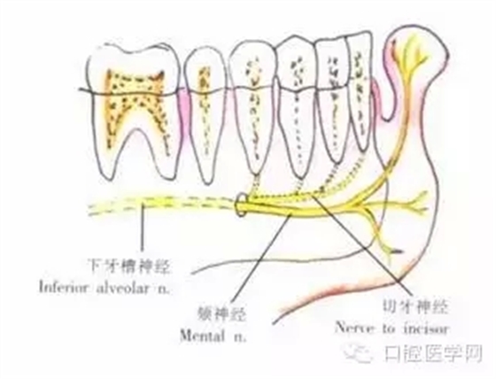 30.webp.jpg 30.webp.jpg