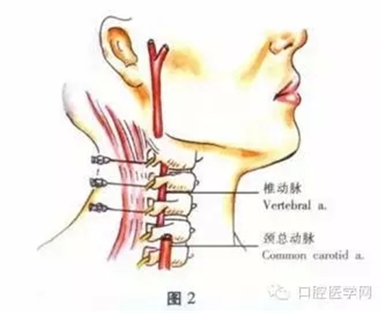 32.webp.jpg 32.webp.jpg