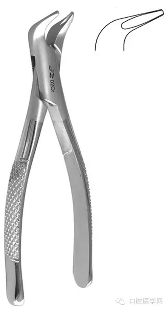 63.webp.jpg 63.webp.jpg