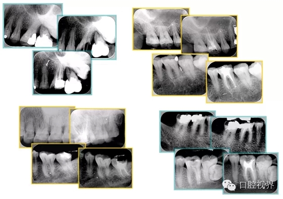 9.webp.jpg 9.webp.jpg