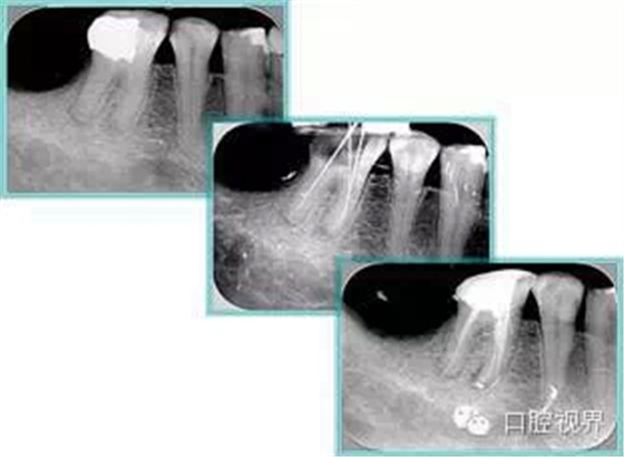 12.webp.jpg 12.webp.jpg