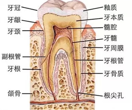 0.webp.jpg 0.webp.jpg