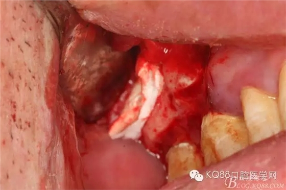 26.webp.jpg 26.webp.jpg