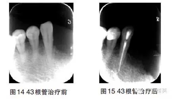 7.webp.jpg 7.webp.jpg