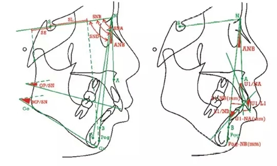 口腔臨床數(shù)據(jù)庫 口腔臨床數(shù)據(jù)庫