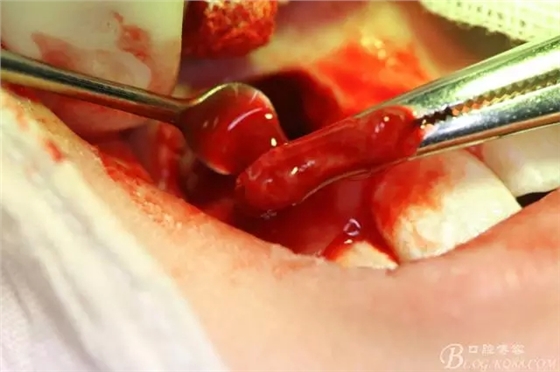 9.webp.jpg 9.webp.jpg