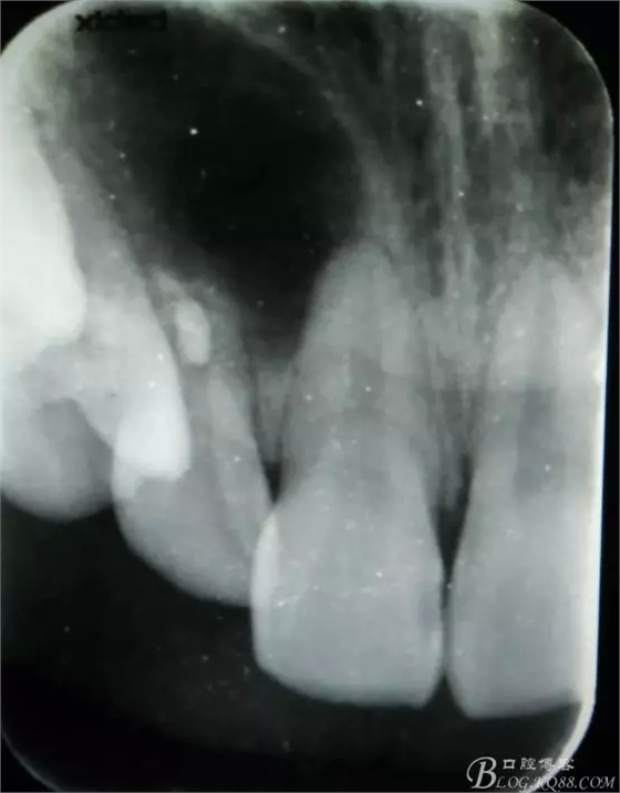 19.webp.jpg 19.webp.jpg