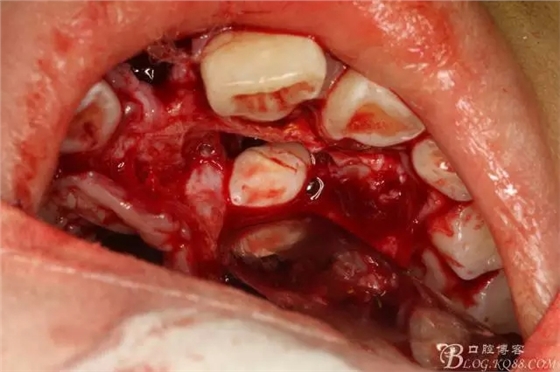 8.webp.jpg 8.webp.jpg