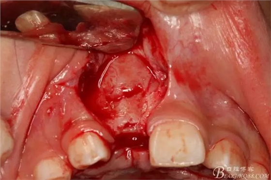 9.webp.jpg 9.webp.jpg