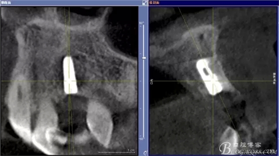 13.webp.jpg 13.webp.jpg