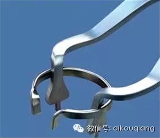 1.webp.jpg 1.webp.jpg