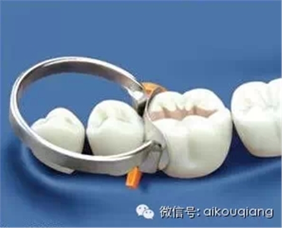 7.webp.jpg 7.webp.jpg