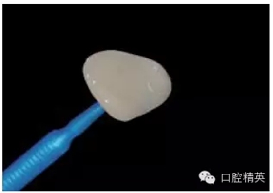 25.webp.jpg 25.webp.jpg