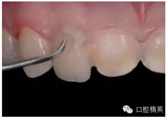 28.webp.jpg 28.webp.jpg