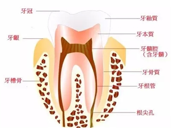 52.webp.jpg 52.webp.jpg