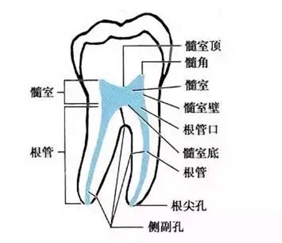 53.webp.jpg 53.webp.jpg