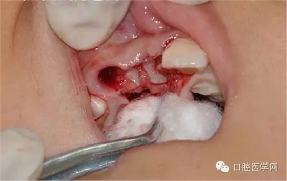 26.webp.jpg 26.webp.jpg